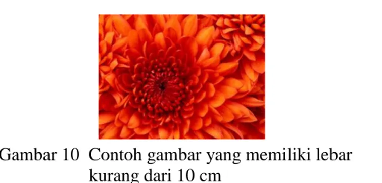 Gambar 10  Contoh gambar yang memiliki lebar    kurang dari 10 cm 