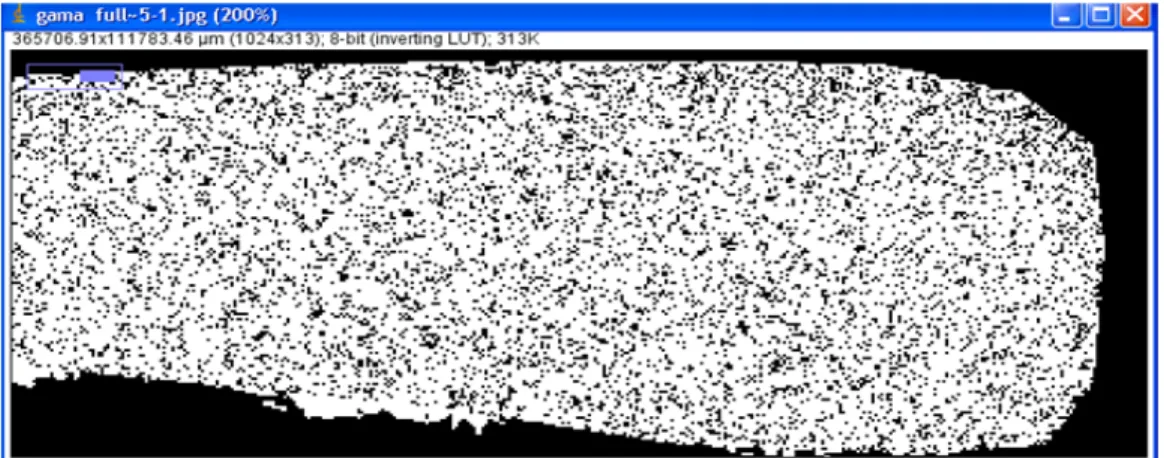 Gambar 5.5 Hasil olah data dengan menggunakan program ImageJ 