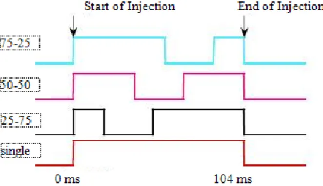 Gambar 2. Skema percobaan injeksi single dan 2-tingkat   