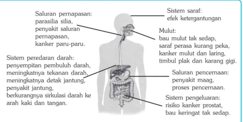 Gambar 15.2 Merokok dapat menyebabkan berbagai penyakit pada organ tubuh manusia Sistem  saraf: efek  ketergantunganSaluran  pernapasan:parasilia  silia,penyakit  saluranpernapasan,kanker  paru-paru
