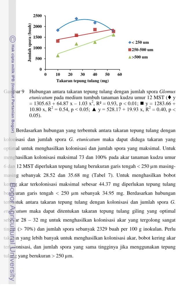 Gambar 9  Hubungan antara takaran tepung tulang dengan jumlah spora Glomus  etunicatum pada medium tumbuh tanaman kudzu umur 12 MST ( y 