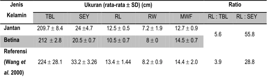 Tabel  4 Perhitungan  ukuran  rata-rata  jantan  (n=4)  dan  betina  (n=2)  Tursiops  aduncus di kolam konservasi PT