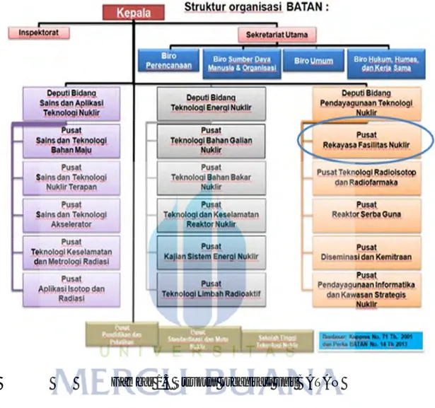 Gambar 1.3 Struktur organisasi unit BATAN 