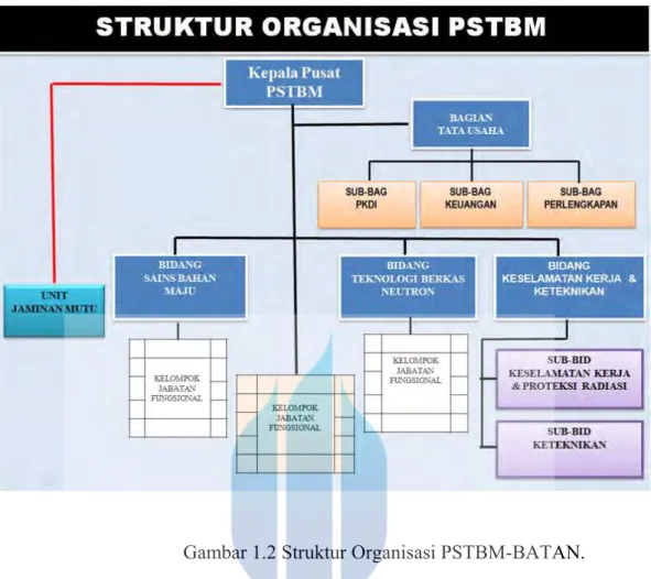 Gambar 1.2 Struktur Organisasi PSTBM-BATAN. 