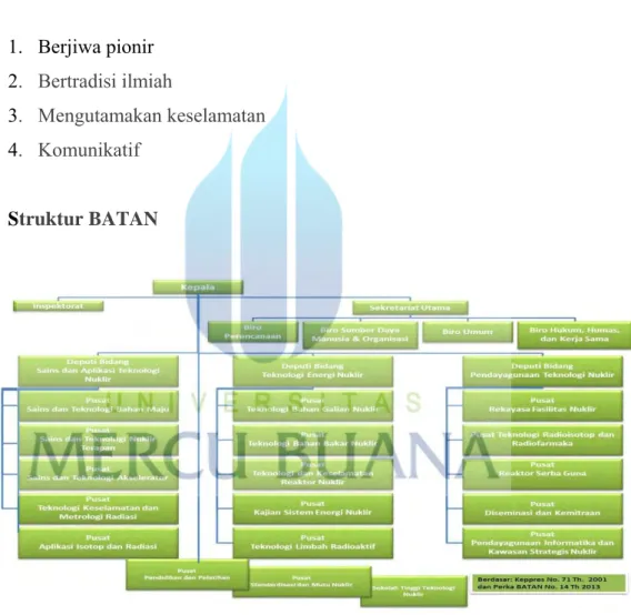 Gambar 1.1 Struktur BATAN 