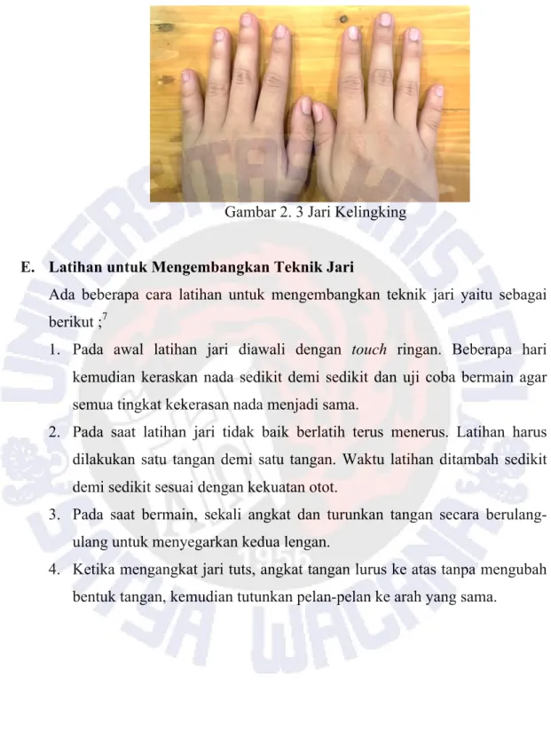 Gambar 2. 3 Jari Kelingking 