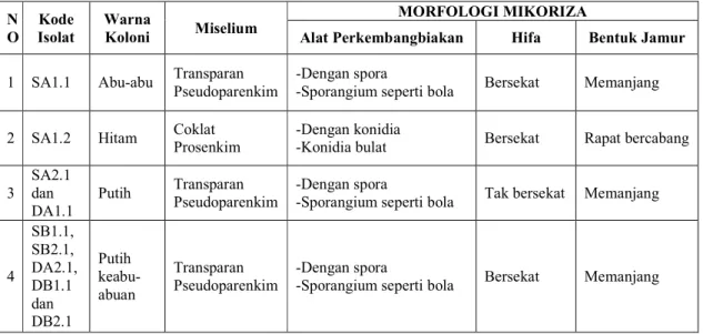 Tabel 2. Karakteristik Mikoriza Anggrek  N O  Kode  Isolat  Warna Koloni  Miselium  MORFOLOGI MIKORIZA 