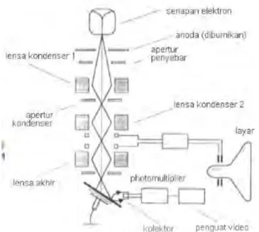 Gambar 2.7 Diagram skematik fungsi dasar dan cara kerja SEM  (Sumber: Anggraini, 2008) 