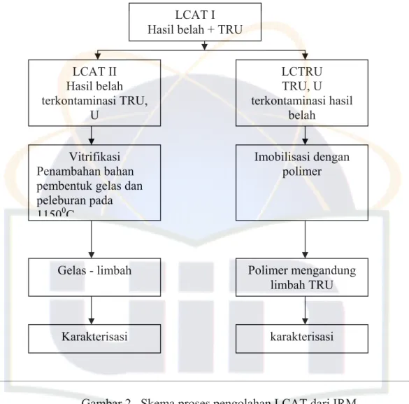 Gambar 2.  Skema proses pengolahan LCAT dari IRM 