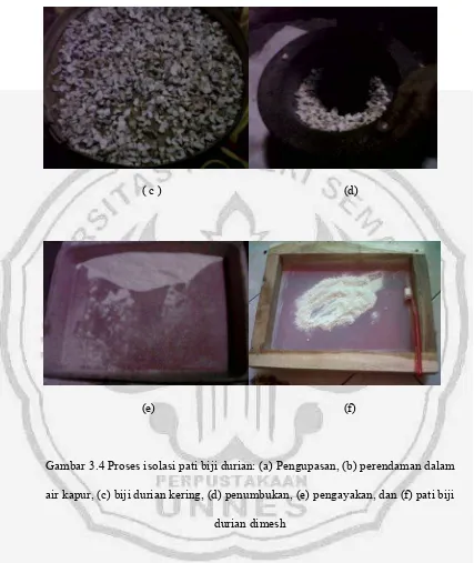 Gambar 3.4 Proses isolasi pati biji durian: (a) Pengupasan, (b) perendaman dalam 