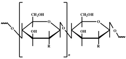 Gambar 1  Struktur kitosan (R: NH 2 ). 