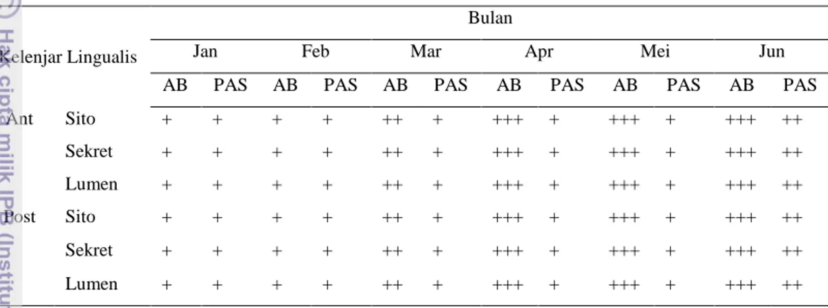 Tabel 3   Intensitas pewarnaan AB pH 2.5 dan PAS kelenjar lingualis walet linchi  pada masa berbiak