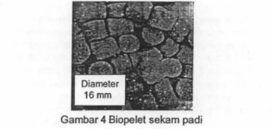 Gambar  4 Biopelet sekam padi 