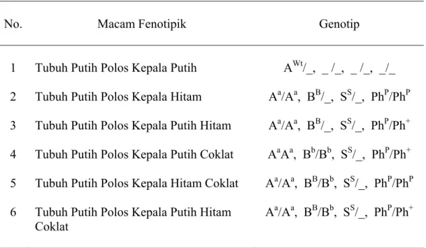 Tabel 3. Penentuan Genotipik Kelompok Warna Bulu Putih Polos pada  Domba Ekor Gemuk, Ekor Tipis, Kisar dan Garut 