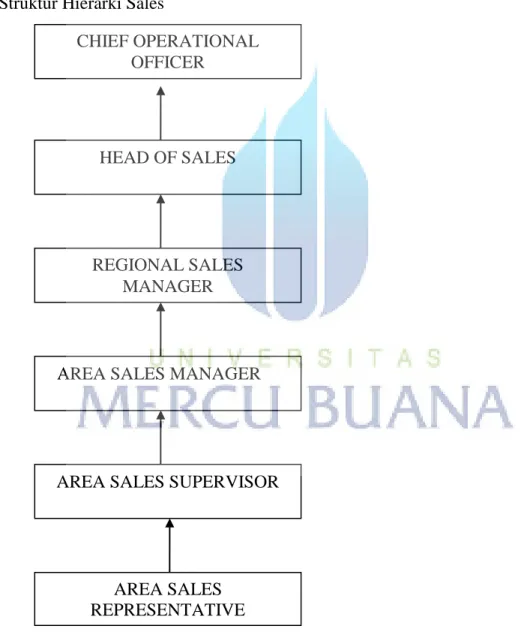 Gambar 3.1 Struktur Organisasi Sales AREA SALES REPRESENTATIVE  AREA SALES SUPERVISOR 