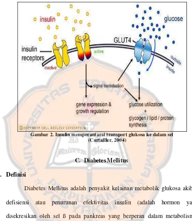 Gambar 2. Insulin memperantarai transport glukosa ke dalam sel 