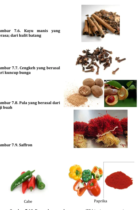 Gambar 7.7. Cengkeh yang berasal  dari kuncup bunga 