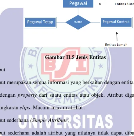 Gambar II.5 Jenis Entitas  2.  Atribut 