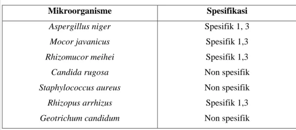 Tabel 5. Mikroorganisme penghasil lipase 