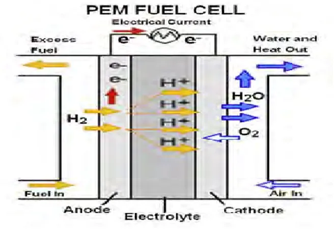 Gambar 2.1 PEM Fuel Cell  (Sumber: Zhang, 2013) 