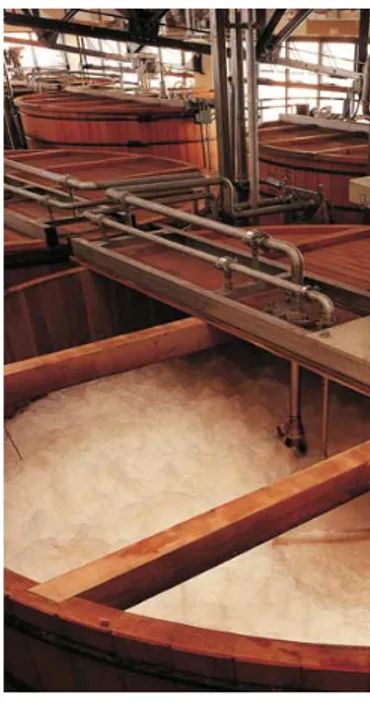Gambar 19 menunjukkan adonan bahan pembuatan wiski yang  ditempatkan dalam suatu wadah untuk difermentasi