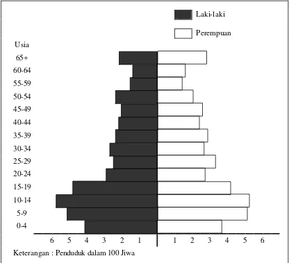 Gambar 3 : Piramida Penduduk Desa Tonjong 