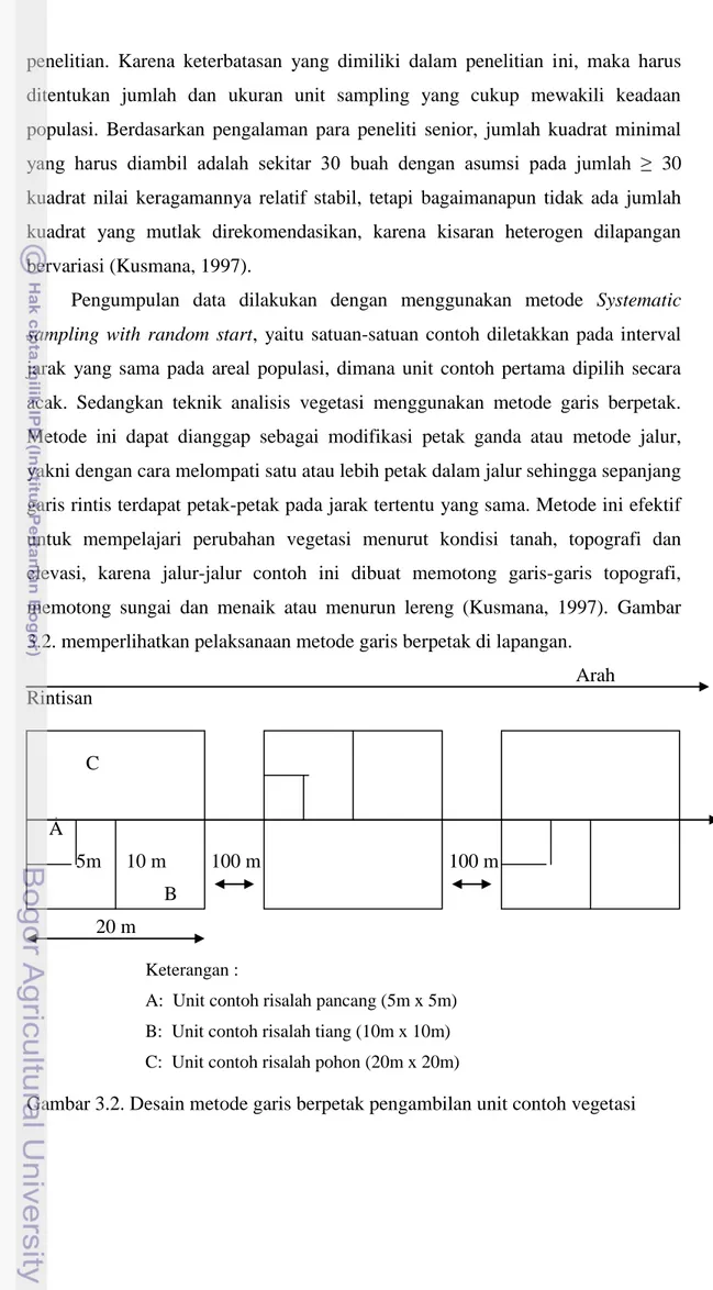 Gambar 3.2. Desain metode garis berpetak pengambilan unit contoh vegetasi  