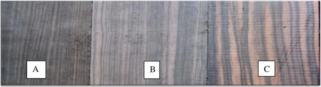 Gambar 1.  Standar penggolongan tiga kelas kualitas kayu eboni (kelas A, B dan C) 