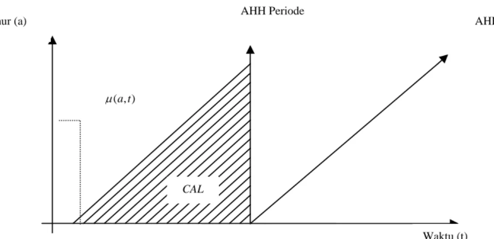 Gambar 1  Daerah angka kematian yang digunakan dalam perhitungan AHH periode, AHH          kohort,  dan CAL