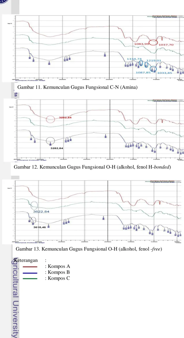 Gambar 11. Kemunculan Gugus Fungsional C-N (Amina)