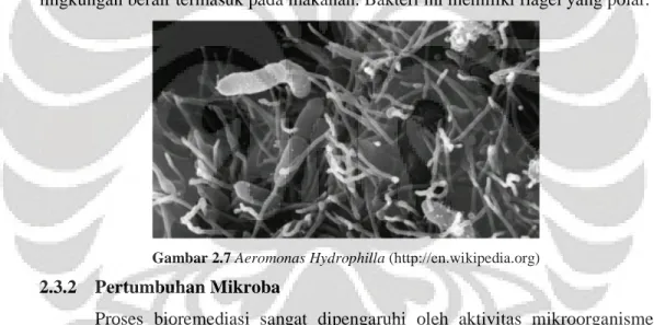 Gambar 2.7 Aeromonas Hydrophilla (http://en.wikipedia.org)  2.3.2  Pertumbuhan Mikroba 