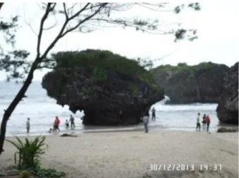 Gambar  3.  Batu  Gamping  Berukuran  besar  di  Pantai Siung 