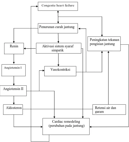 Gambar 1. Bagan patofisiologi congestive heart failure 