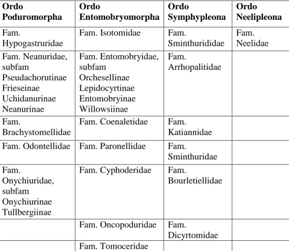 Tabel  1.  Daftar  ordo,  famili,  dan  subfamili  Collembola  yang  ditemukan  di  Indonesia  Ordo  Poduromorpha  Ordo  Entomobryomorpha  Ordo  Symphypleona  Ordo  Neelipleona  Fam