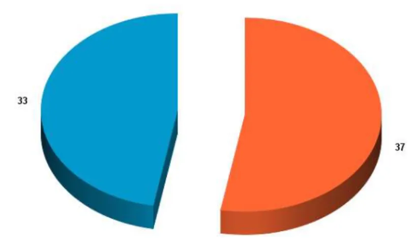 Gambar 2.3.3.2 Diagram Usia 