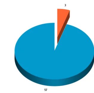 Gambar 2.3.3.3 Diagram Pekerjaan Responden 