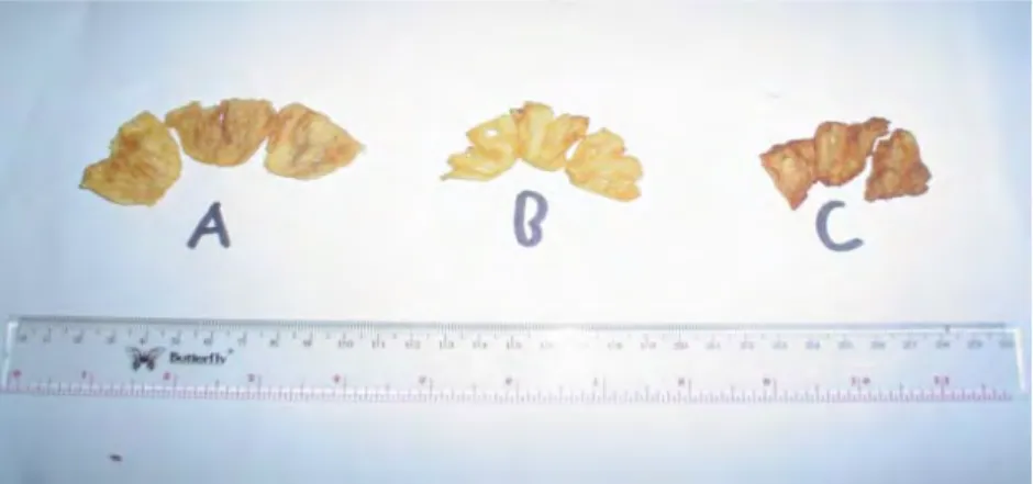 Gambar 4. (a) Keripik nanas paon kebun, (b) keripik nanas madu, dan (c) keripik  nanas komersil 
