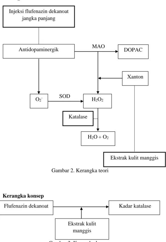 Gambar 2. Kerangka teori 