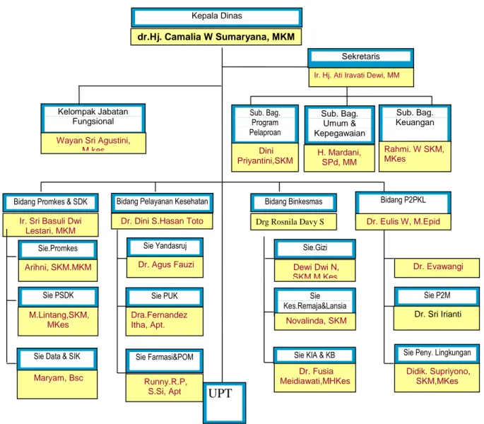 Diagram 1.2. Struktur Organisasi Dinas Kesehatan Kabupaten Bogor  (Sesuai Perda Nomor 11 Tahun 2008) 