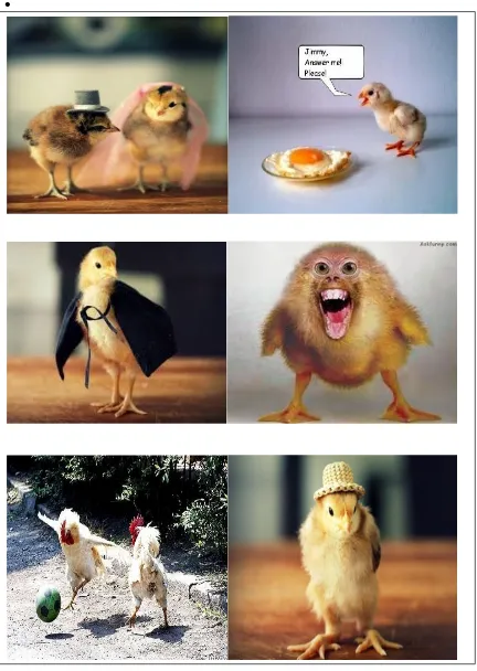 Gambar gerakan Ayam
