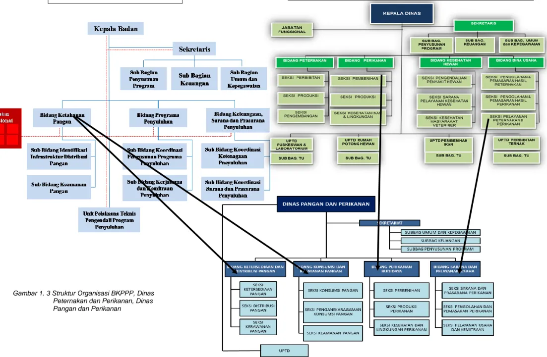 Gambar 1. 3 Struktur Organisasi BKPPP, Dinas  Peternakan dan Perikanan, Dinas  Pangan dan Perikanan
