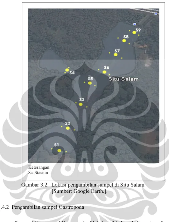 Gambar 3.2. Lokasi pengambilan sampel di Situ Salam [Sumber: Google Earth.].