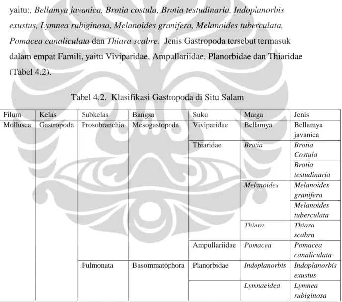 Tabel 4.2. Klasifikasi Gastropoda di Situ Salam
