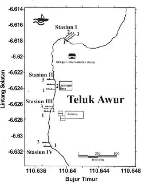Gambar 1.  Lokasi Penelitian di Perairan Teluk Awur Jepara