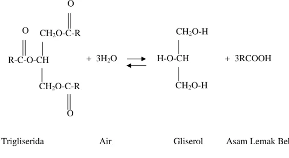 Gambar 2.4  Hidrolisis trigliserida oleh enzim Lipase 