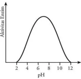 Gambar 2.3 Pengaruh pH Terhadap Sifat Katalitik Enzim  (Rochmah dkk, 2009) 