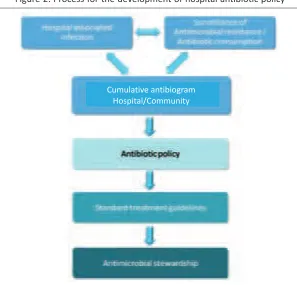 Figure 2: Process for the development of hospital anibioic policy