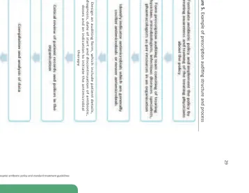 Figure 5. Example of prescripion audiing structure and process