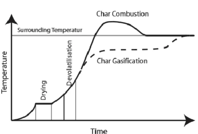 Gambar 2.6. Grafik mekanisme pembakaran (Thunman dan Leckner,  2007) 