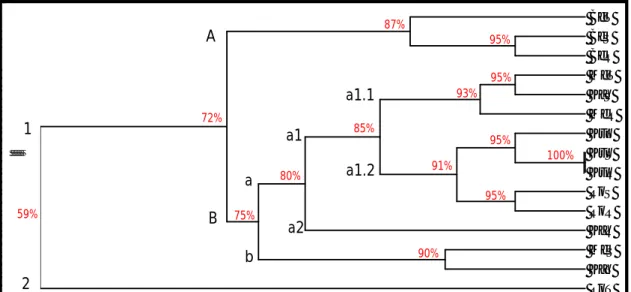 Gambar 5.  Pohon  kekerabatan  (dendrogram)  15  individu  karet  berdasarkan  penanda  isozim  Coefficient0.590.61 0.63 0.65 0.67 0.690.71 0.73 0.75 0.770.80 0.82 0.84 0.86 0.88 0.90 0.92 0.94 0.96 0.98 1.00            BeT  BeS   BeR   MeT  KaS   MeR  KuT